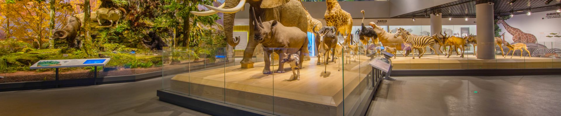 <h1 style="text-align: center;">ÖFFENTLICHE GEBÄUDE</h1>
