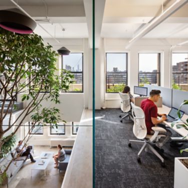 Interface Cloud Cover carpet tile in office with natural light and tree