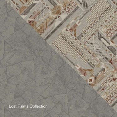 AMS_Lost Palms Folio Cover