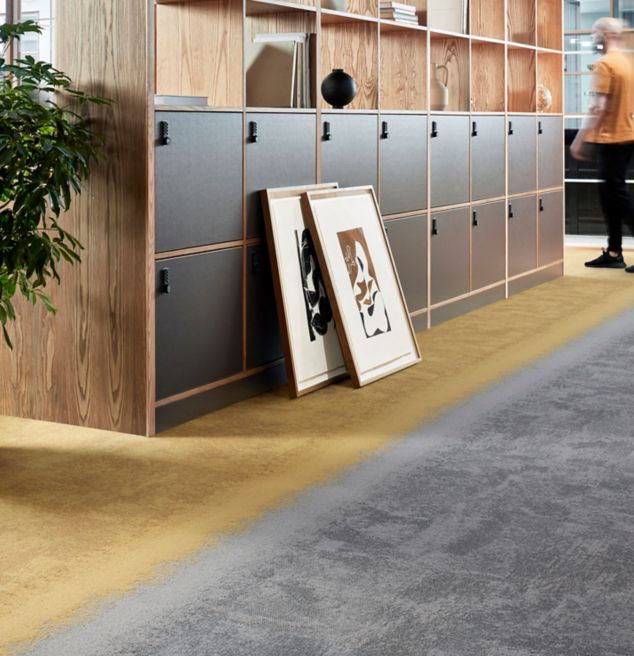 Interface CE100 colour Evolve and Shade, CE200 colour Evolve/Shade