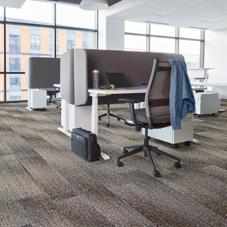 Interface Effervescent plank carpet tile in open office with glass wall