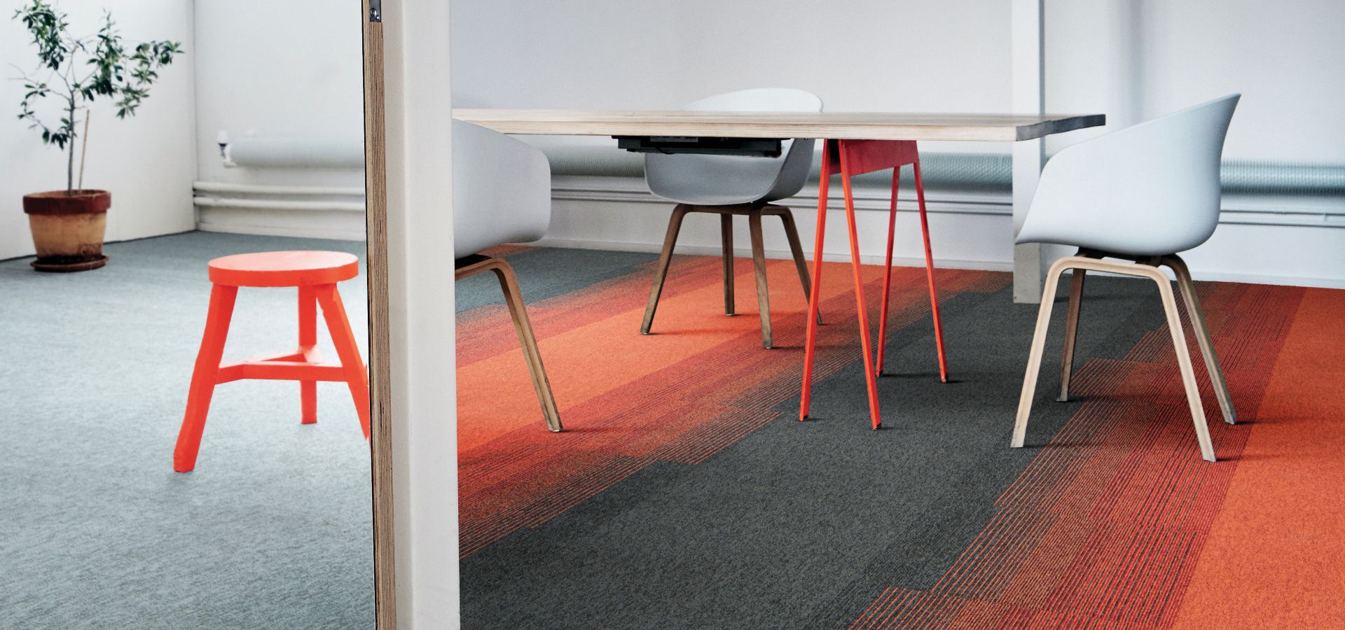 Employ Loop, Shale, Clementine, Employ Lines, Sunset