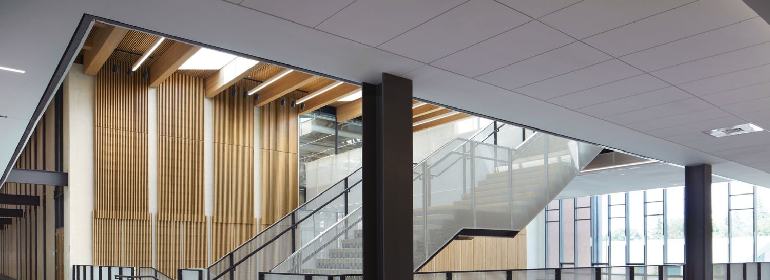 Interface Free Reign plank carpet tile in corridors around stairwell