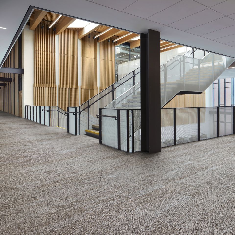 Interface Free Reign plank carpet tile in corridors around stairwell