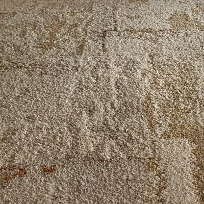 Early Light Carpet Tile in Claystone