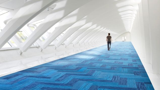 Net Effect : Ocean Inspired Commercial Carpet Tile Collection
