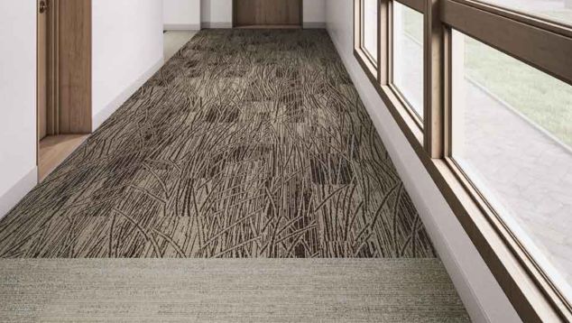 Interface WE152 and NS231 plank carpet tile in hallway with large windows