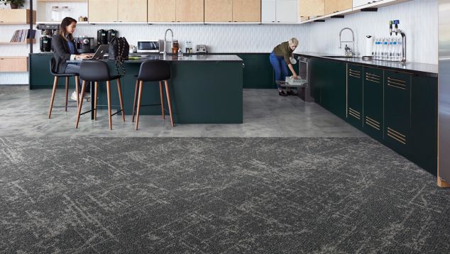 CARPET: Ice Breaker, Quarry LVT: Level Set Textured Stones, Cool Polished Cement, Non Directional 