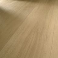 Interface Hearth and On Grain plank LVT in cafe area and corridor
