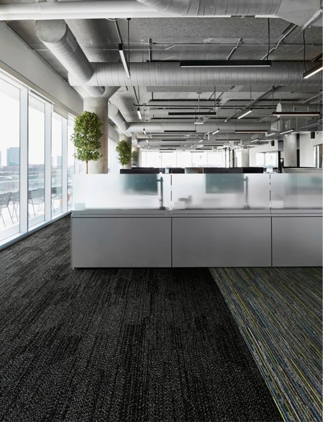 Interface Open Air 408 plank carpet tile in open workstations with frosted glass dividers