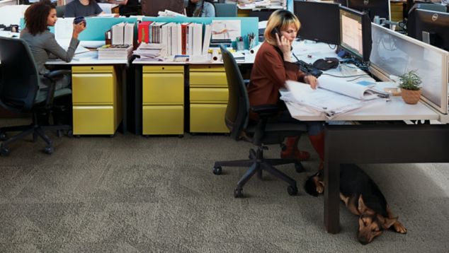 Interface Paver carpet tile and HN850 plank carpet tile in open office area with multiple people working at desk