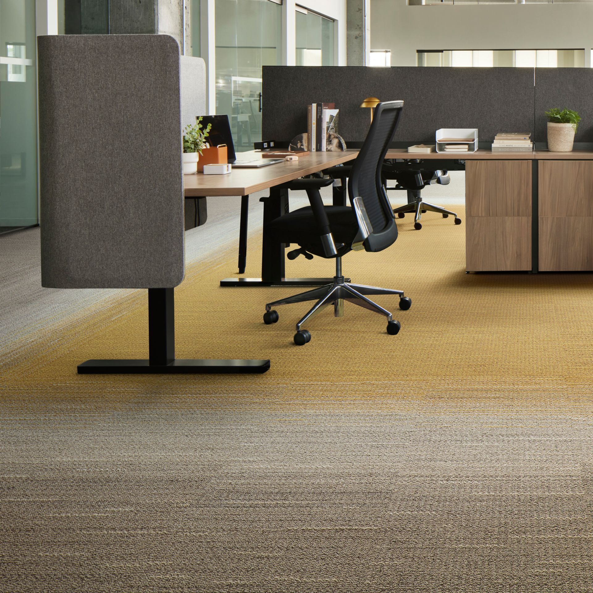 Interface WG100 and WG200 carpet tile in workplace open ofice area